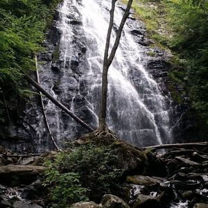 Meet your Posher, Delfy